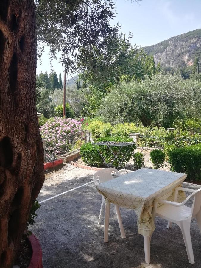 Dimitris Studios باليوكاستريتسا المظهر الخارجي الصورة